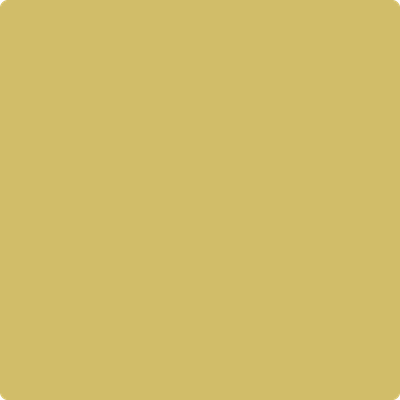 377-Mustard: Field a paint color by Benjamin Moore avaiable at Clement's Paint in Austin, TX.