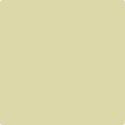 381-Sesame: a paint color by Benjamin Moore avaiable at Clement's Paint in Austin, TX.