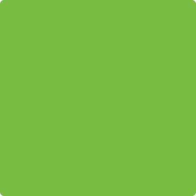 420-Apple: Lime Cocktail a paint color by Benjamin Moore avaiable at Clement's Paint in Austin, TX.