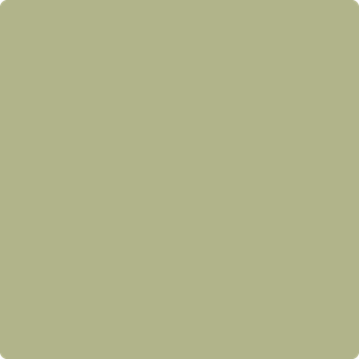 502-Grasslands: a paint color by Benjamin Moore avaiable at Clement's Paint in Austin, TX.
