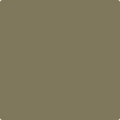 511-Pine: Grove a paint color by Benjamin Moore avaiable at Clement's Paint in Austin, TX.