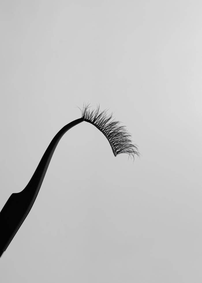 ARIES