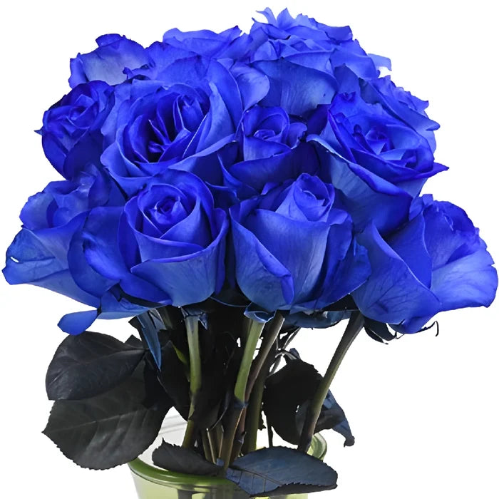 Blue Tinted Valentine's Day Roses