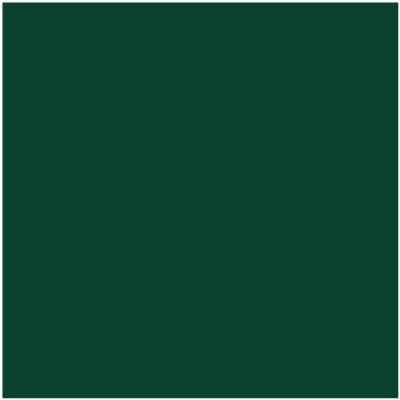 HC-189: Chrome Green a paint color by Benjamin Moore avaiable at Clement's Paint in Austin, TX.