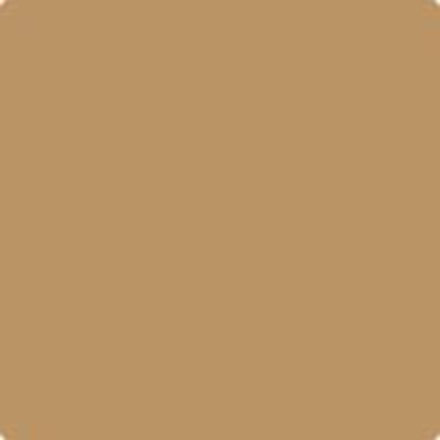 HC-41: Richmond Gold a paint color by Benjamin Moore avaiable at Clement's Paint in Austin, TX.