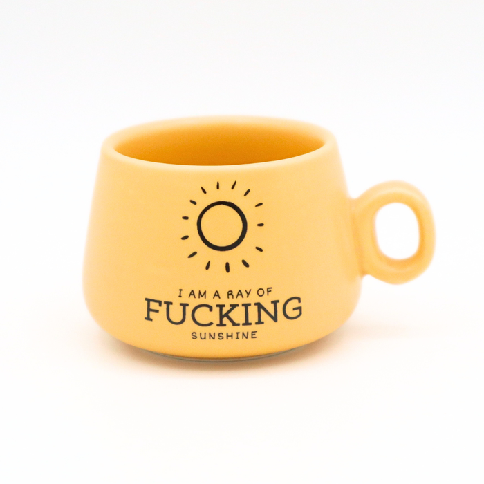 I Am A Ray Of Fucking Sunshine shot glass mug