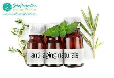 Phospholipid Liposomes-Skin Perfection Natural and Organic Skin Care