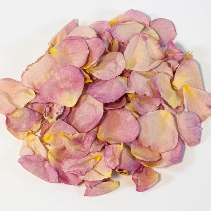 All Dressed Up Pink Dried Rose Petals Stem - Image