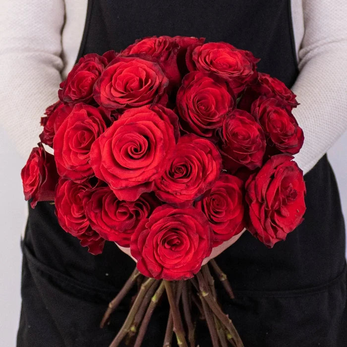 Radiant Red Roses in Hand