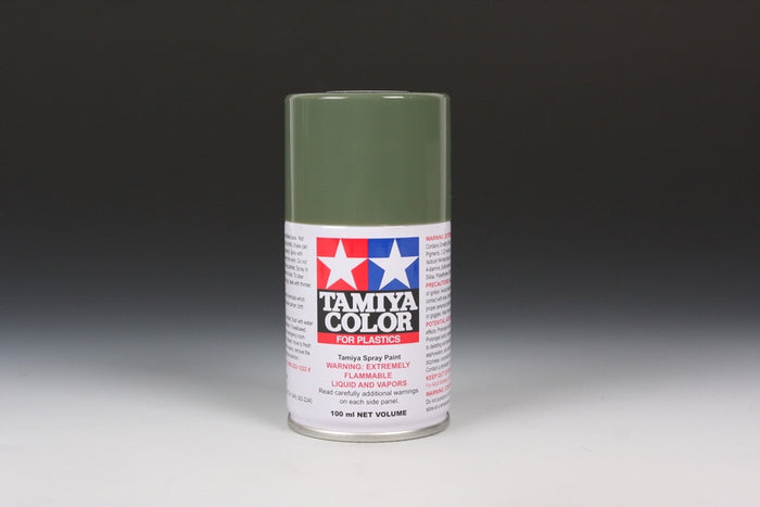 TS-91 Dark Green Spray Paint
