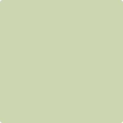 479-Apple: Blossom  a paint color by Benjamin Moore avaiable at Clement's Paint in Austin, TX.