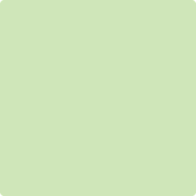 555-O'Reilly: Green  a paint color by Benjamin Moore avaiable at Clement's Paint in Austin, TX.
