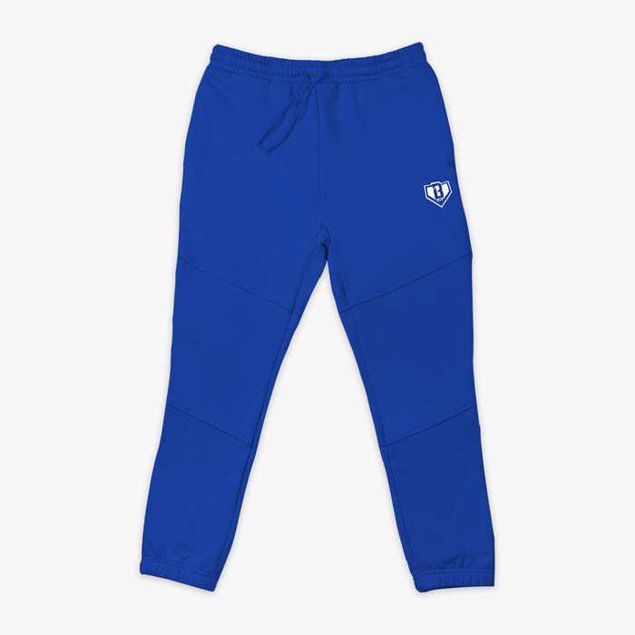 Blue sweatpants with a BL101 logo on a white background