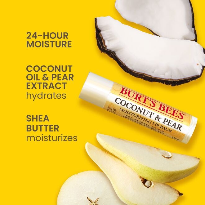 Best of Burt's Lip Balm 4-Pack