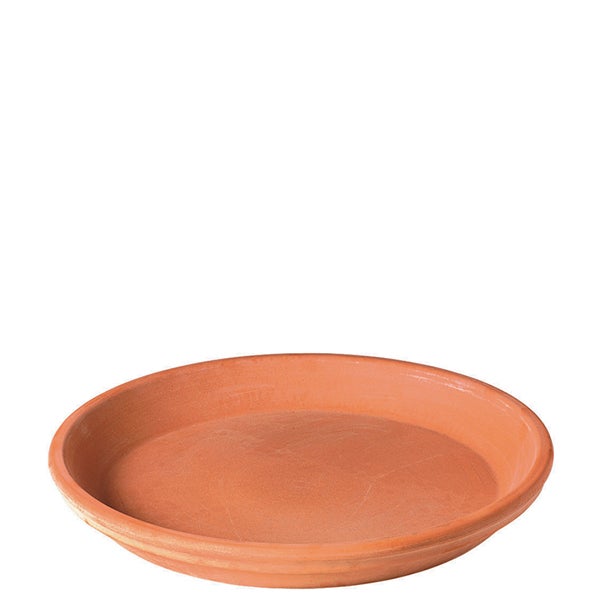 Blush Saucer cm. 25 (9.8")