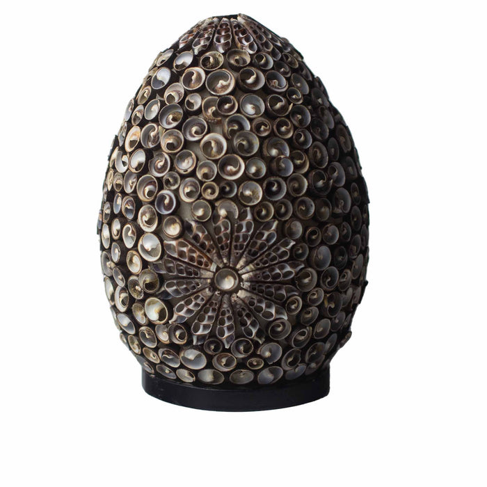 Boho Sea Shell Lamp - Chocolate Twist Oval - 20cm 🇬🇧