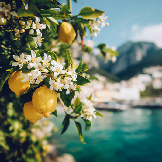 Capri Fragrance Oil