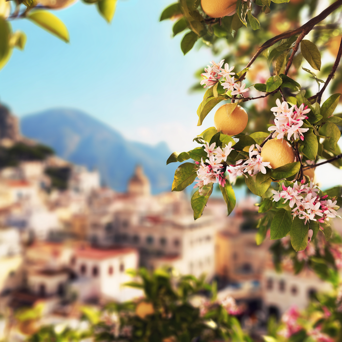 Capri Fragrance Oil