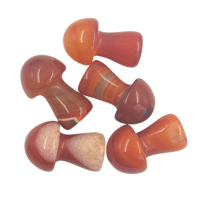 Carnelian Mushroom - Medium