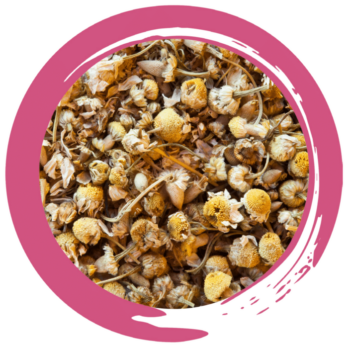 Chamomile - Herbal Tea