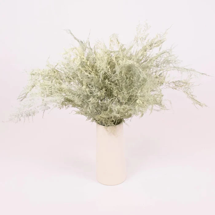 Asparagus Cream Wholesale Wedding Greenery in a Vase