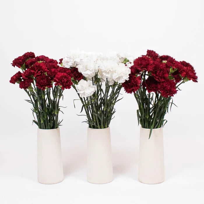 Red Burgundy White Flower Kit Recipe
