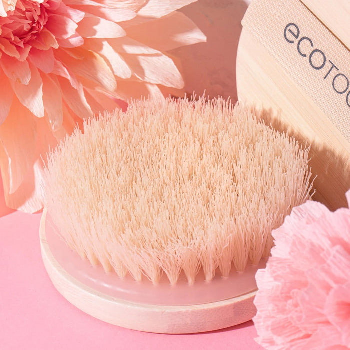 ECOTOOLS clean beauty clean planet dry body brush curelty free bristles فرشاة التنظيف والتقشير الجاف للجسم من ايكو تولز