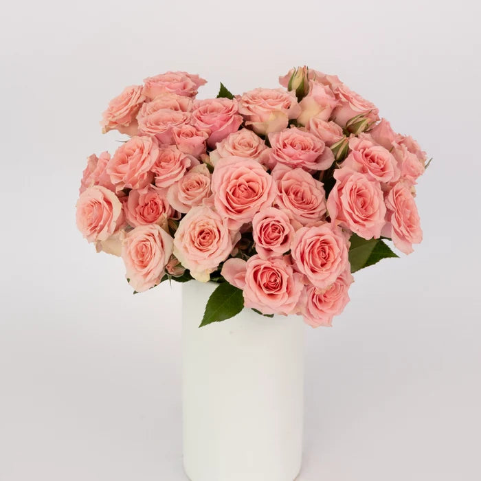 Elva Pink Spray Roses Vase - Image