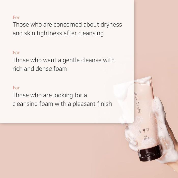Etude Ppoyan Cleansing Foam 150 mL
