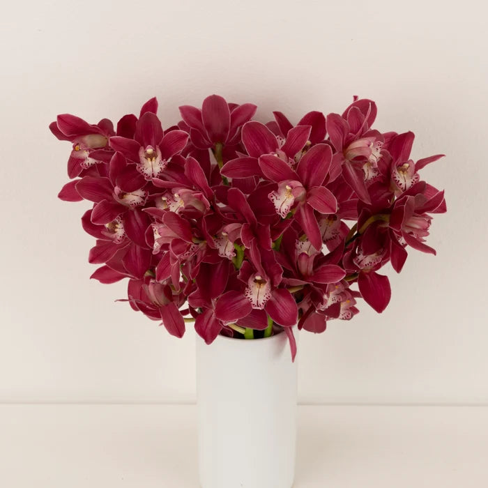 Exotic Rose Mini Cymbidium Orchid Vase - Image