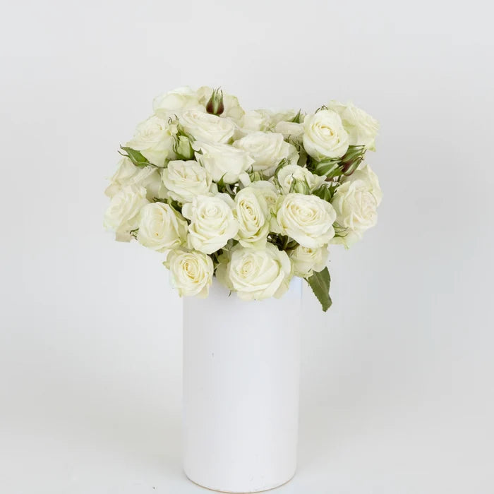 Floreana White Spray Roses Vase - Image