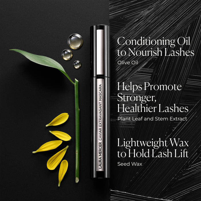 French Girl Makeup Bundle
