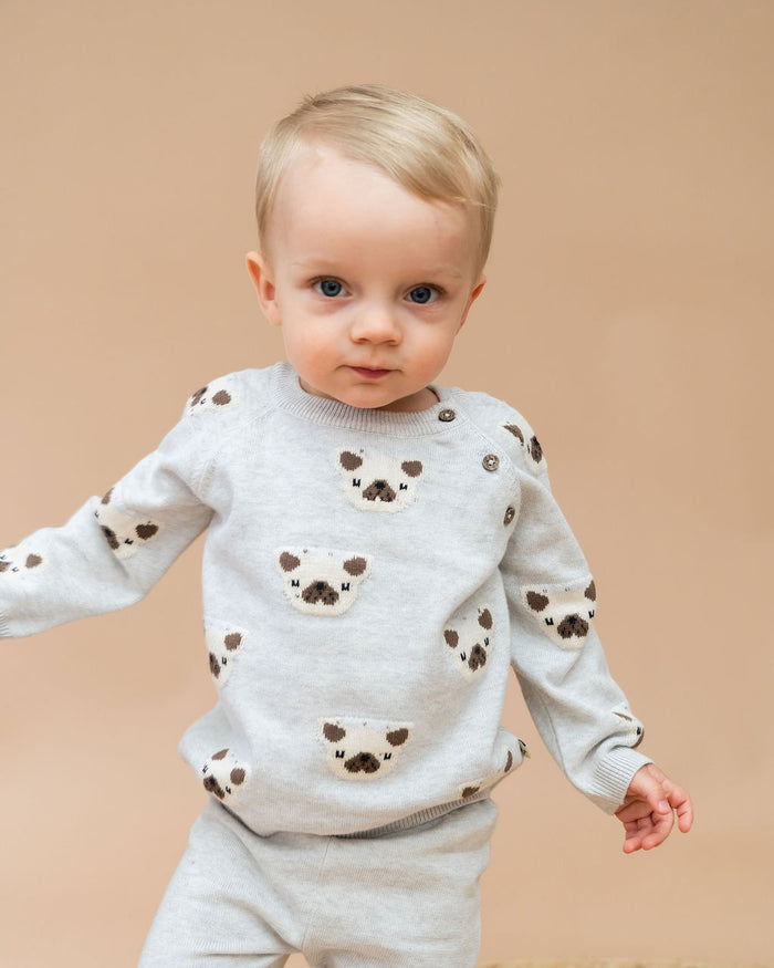 Frenchie Puppy Jacquard Knit Baby Raglan Pullover Sweater + Pant SET (Organic Cotton)
