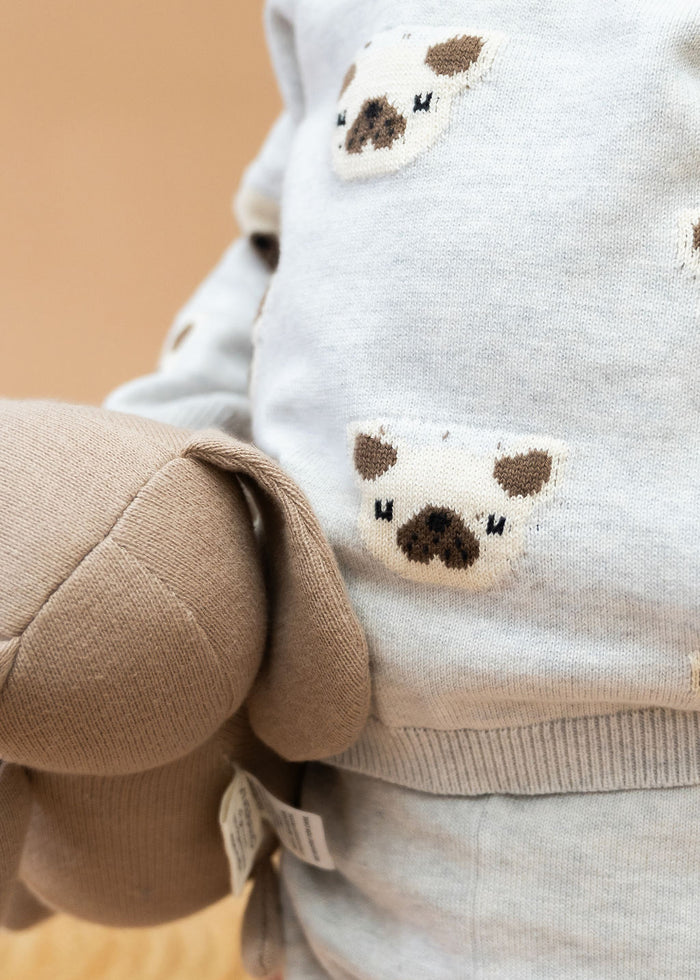 Frenchie Puppy Jacquard Knit Baby Raglan Pullover Sweater + Pant SET (Organic Cotton)
