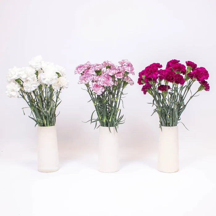 Magenta White Flower Kit Recipe