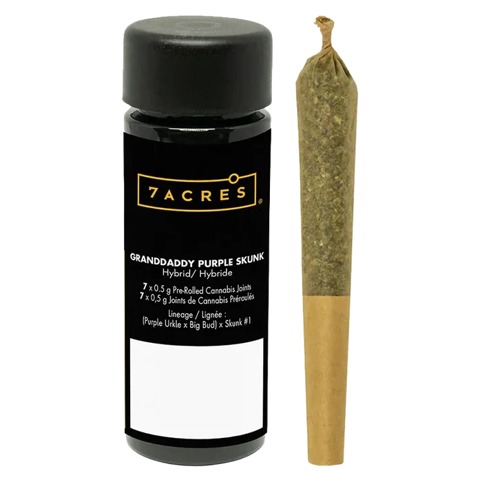 Front view of a black 7ACRES Granddaddy Purple Skunk PR 7 x 0.5 g container with label visible next to a single pre-rolled joint.
