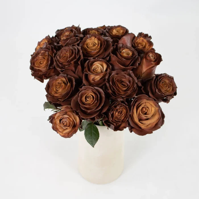 Hazel Cafe Au Lait Tinted Rose Flower Bunch in Vase