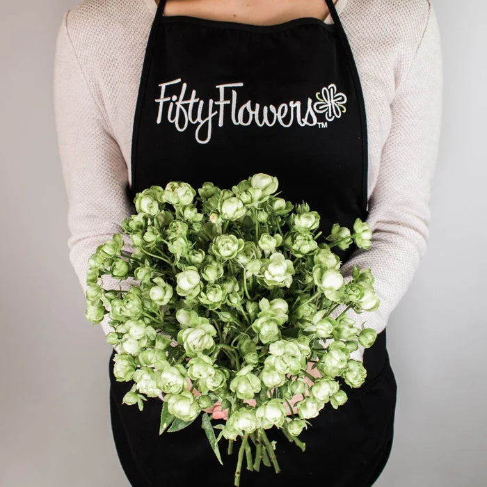 Green Spray Rose Flower Bunch in Hand