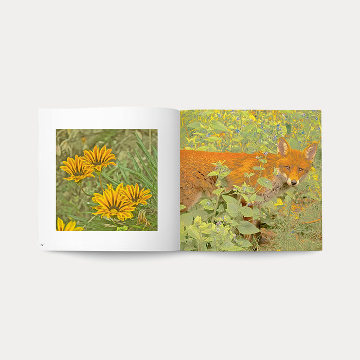 Libro Magic Garden