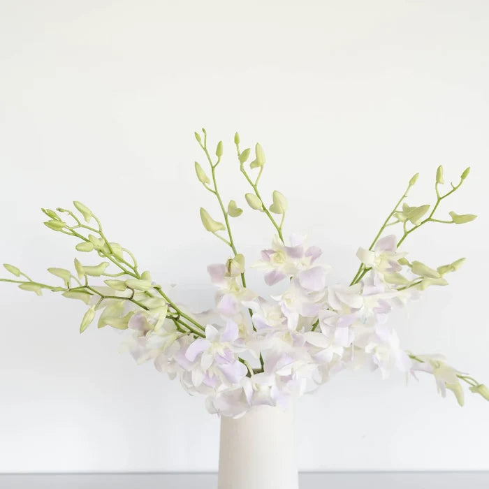 Lilac Mist Dendrobium Orchids Vase - Image