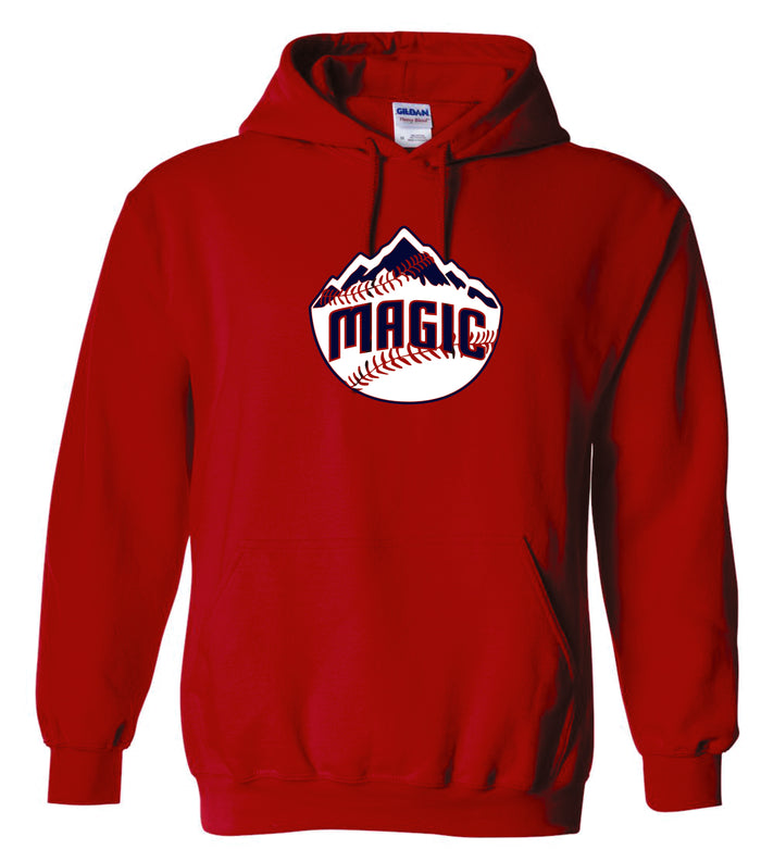 Magic Basic Hoodie- 4 designs Matte or Glitter