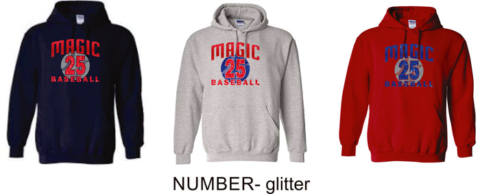 Magic Basic Hoodie- 4 designs Matte or Glitter