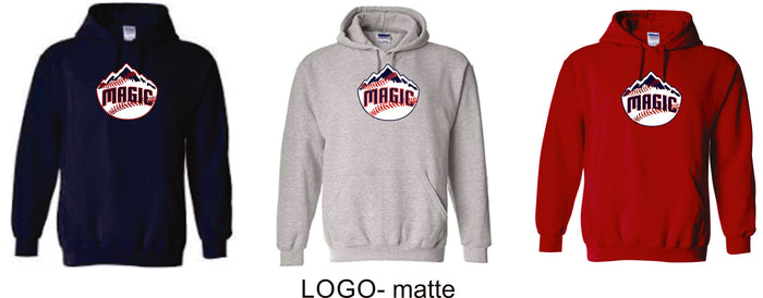 Magic Basic Hoodie- 4 designs Matte or Glitter