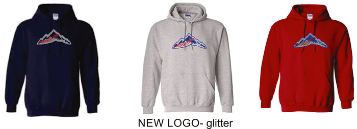 Magic Basic Hoodie- 4 designs Matte or Glitter
