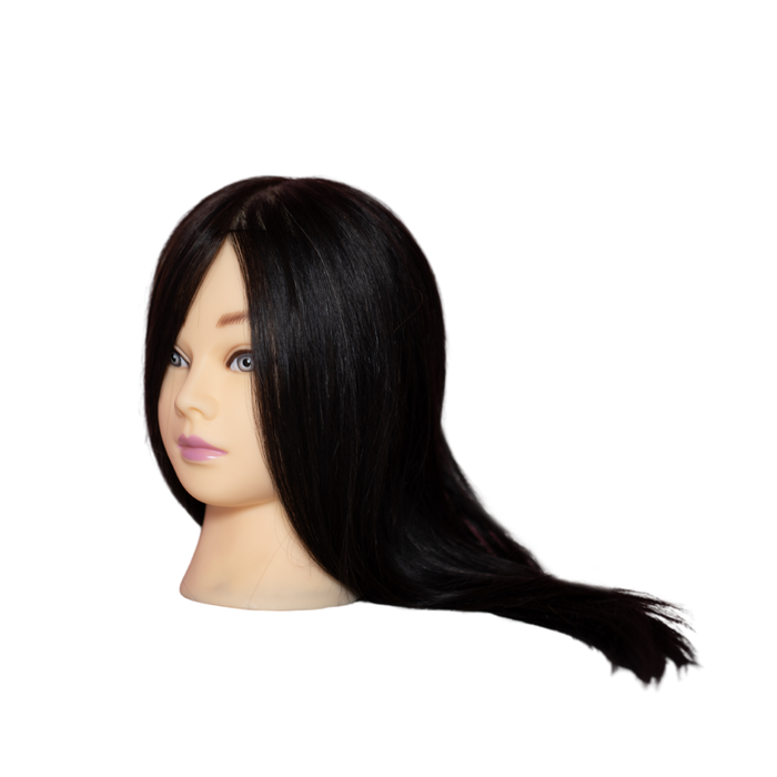 Mannequin Head
