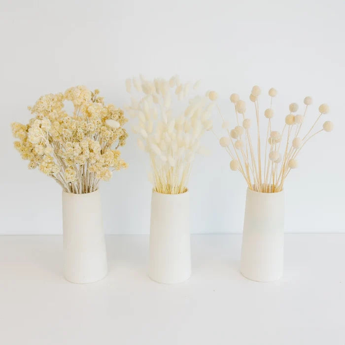 Bleached Dried Flower Pack Stem - Image