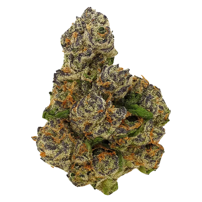 Close-up front view of a single dense bud of OG showing purple-tinted leaves, bright orange hairs, and frosty trichomes.