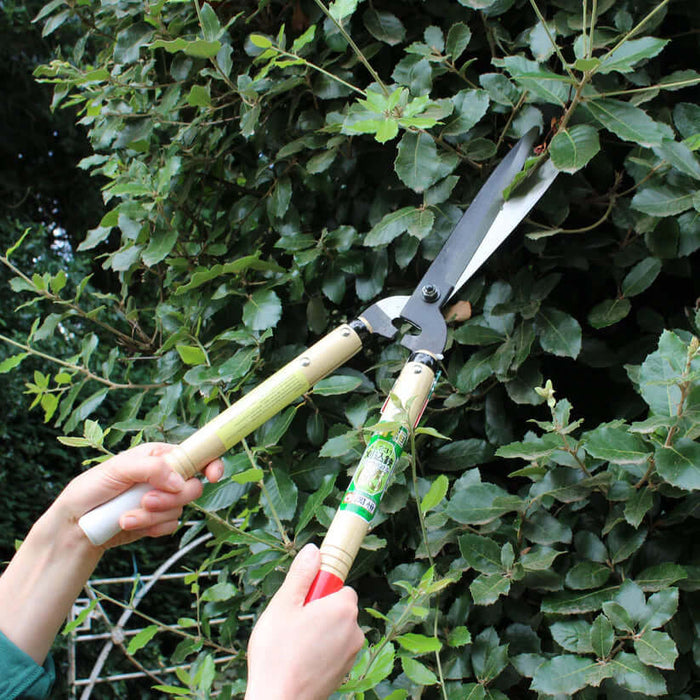 Okatsune 231 Hedge Shears