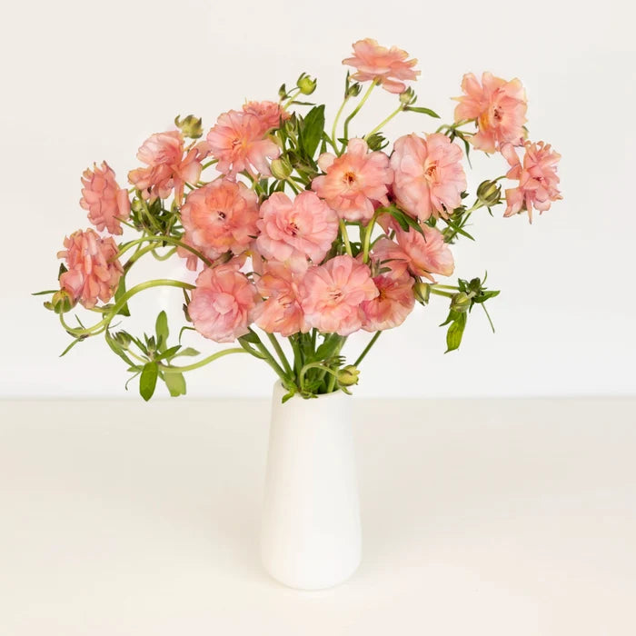 Peach Pink Butterfly Ranunculus Flower Vase - Image