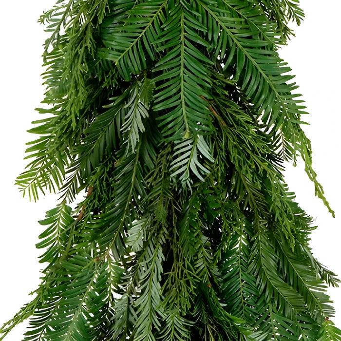 Redwood and Monterey Cypress Garland